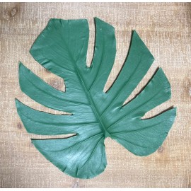 Large Monstera Rubber Leaf Form